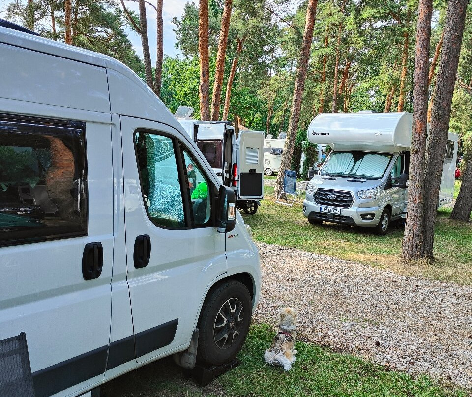 Camping Motel WOK主图