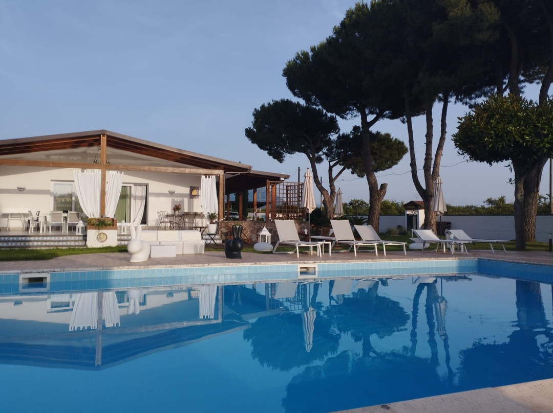 Il Giardino dei Pini主图