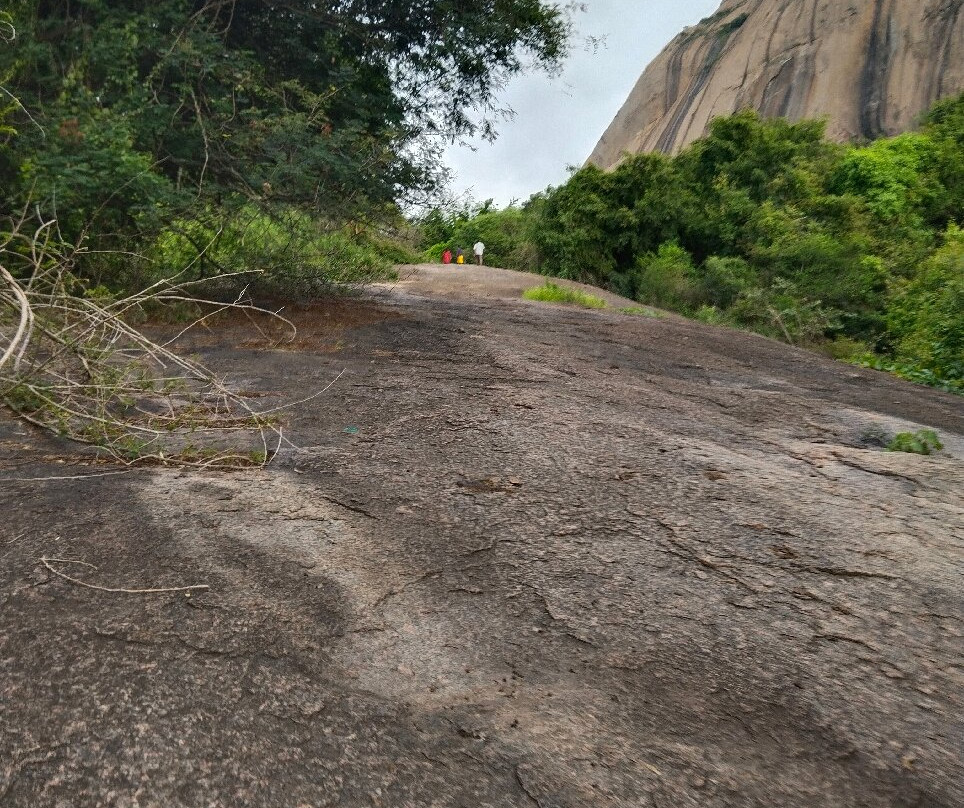 Bidarakatte Trek-null必去景点