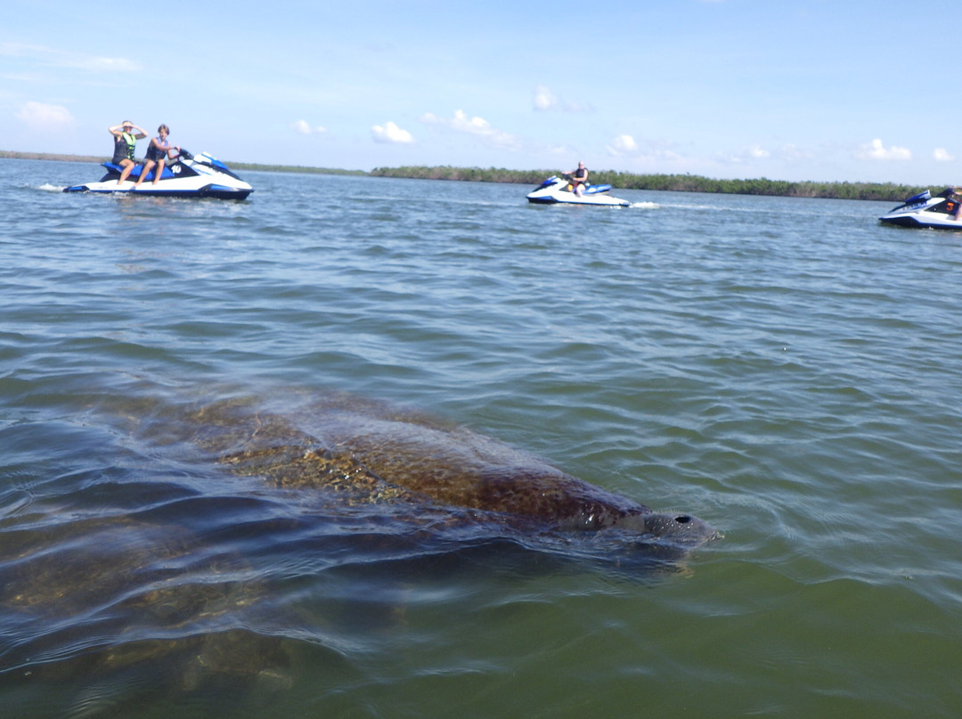 Bonita Jet Ski and Parasail-博尼塔斯普林斯必去景点