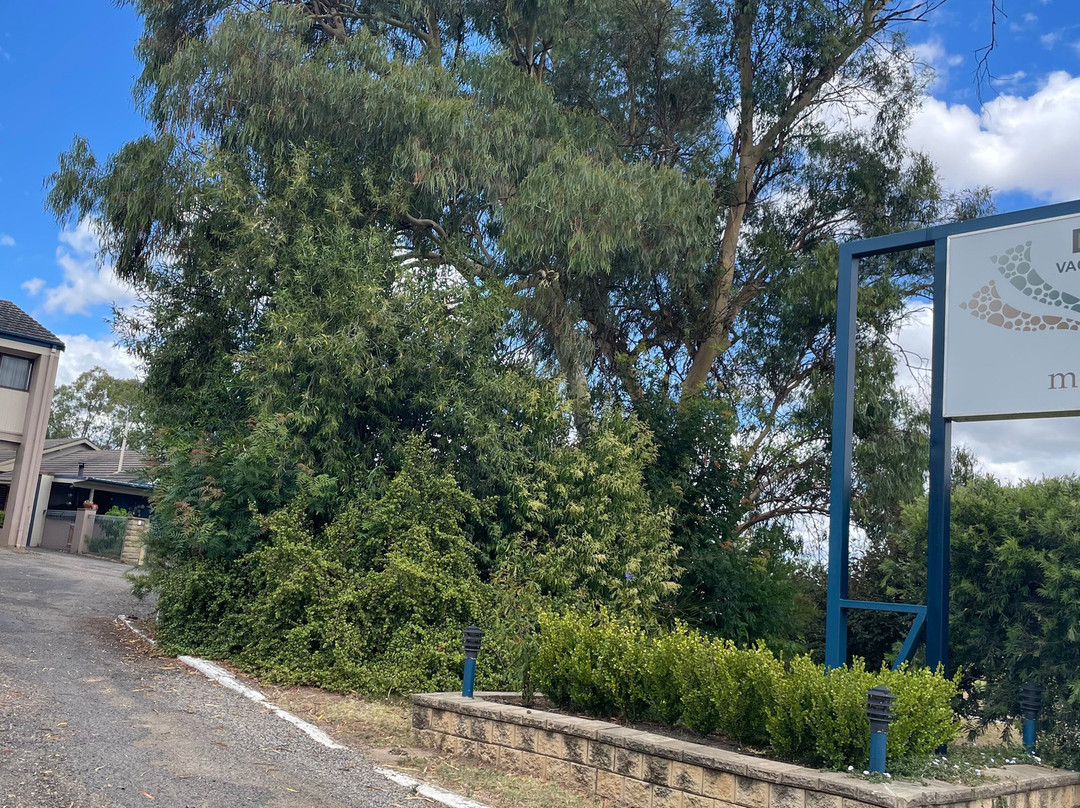 Isis Motel Scone主图