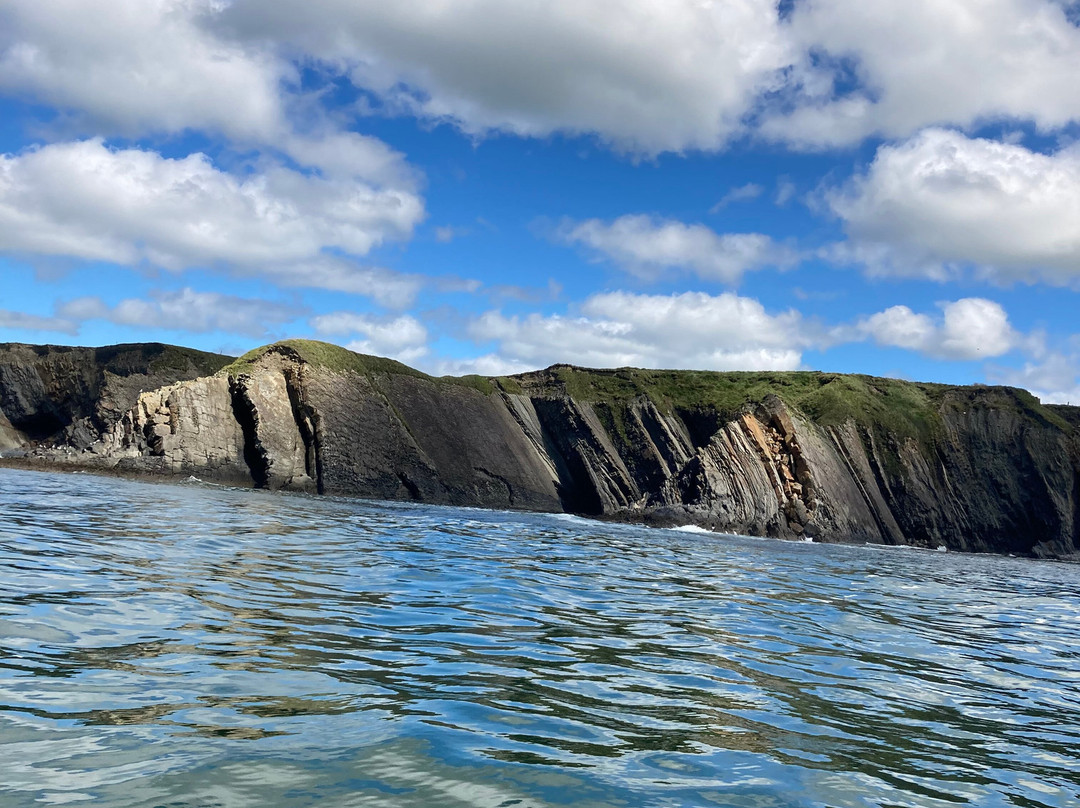 West Coast RIB Adventures-Kilrush必去景点