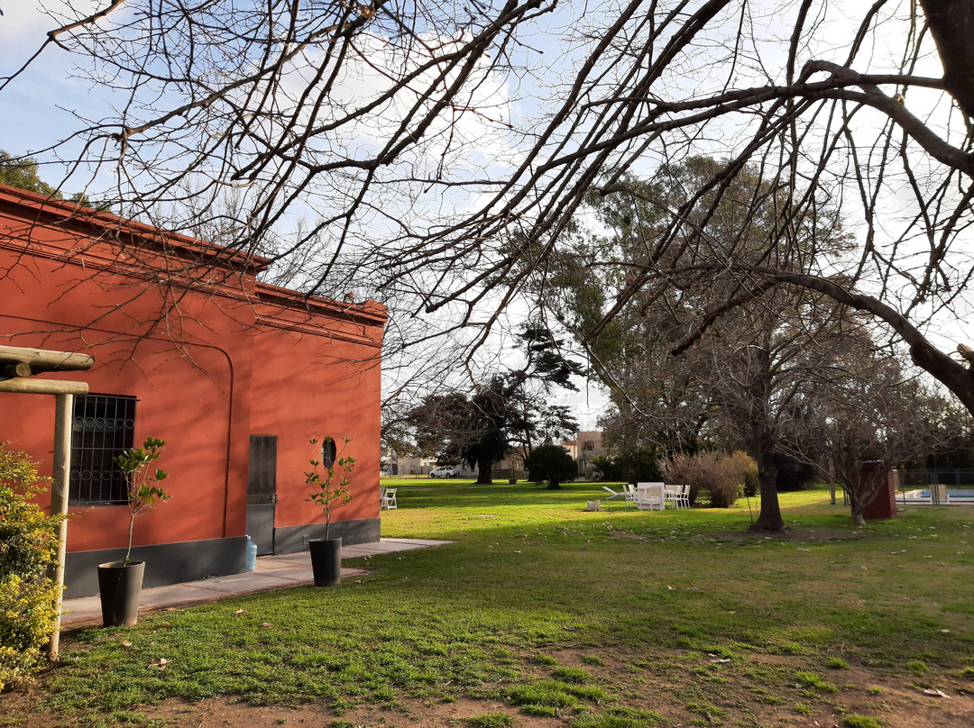 La Mancha Verde主图