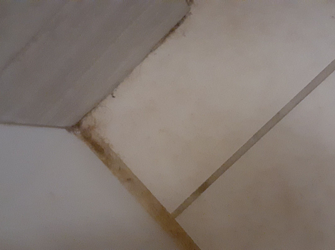 DoubleTree by Hilton Dayton Fairborn主图