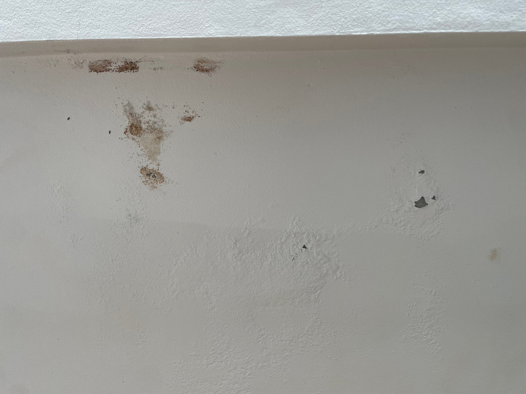 The Motifs Eco Hotel主图