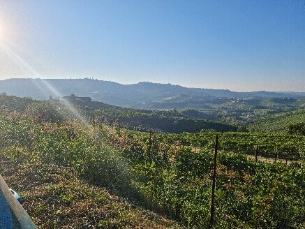 Colline delle Langhe Patrimonio Unesco-Province of Asti必去景点