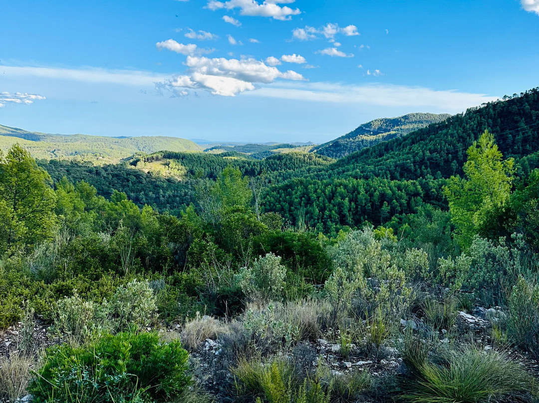 Olives-en-Provence-Belgentier必去景点