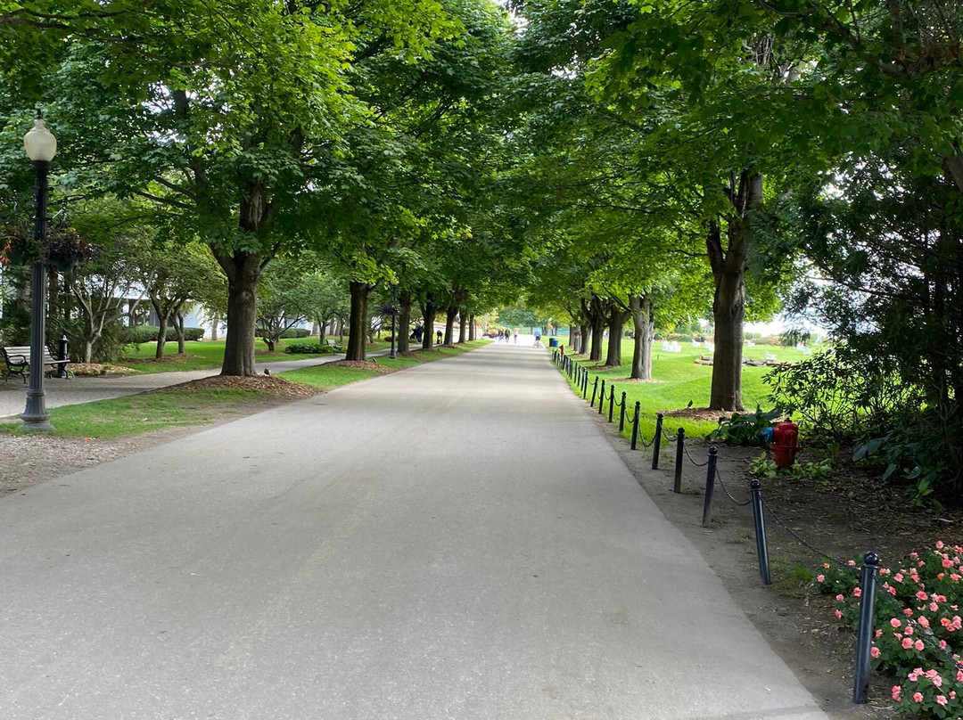 Bogan Lane Inn主图