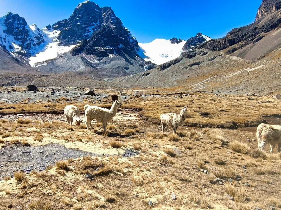 Nevado Charquini-Milluni必去景点