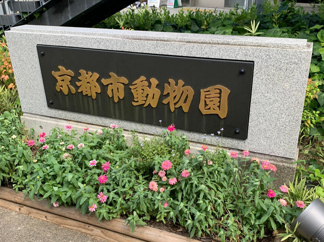 京都市动物园-京都市必去景点