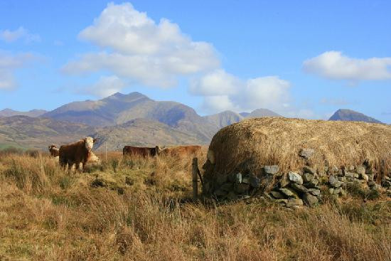 Hidden Kerry - Off The Beaten Track Tours-Ballinskelligs必去景点