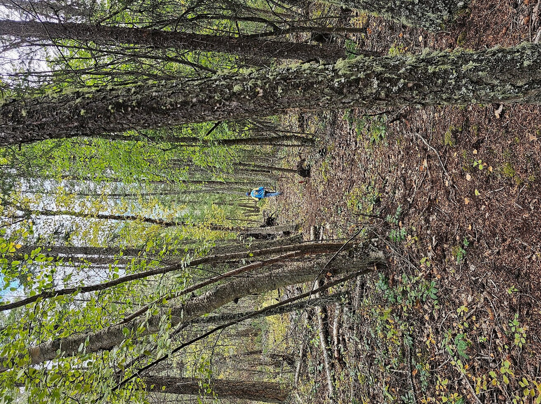 Windermere Creek Bed and Breakfast Cabins主图