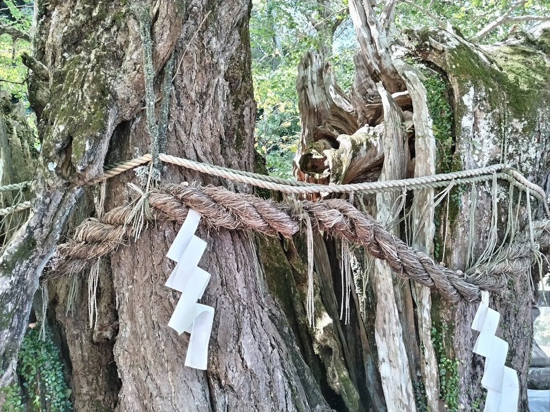 Inashimo Shrine景点图片