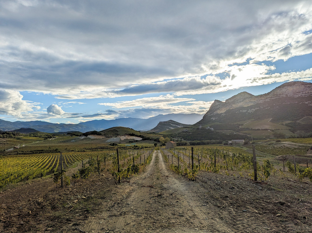 Corsica Wine Tours-Bastia必去景点