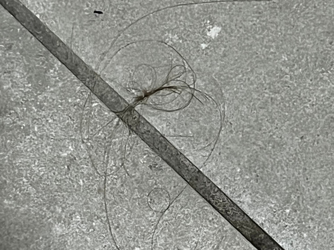 Baymont by Wyndham Sullivan主图