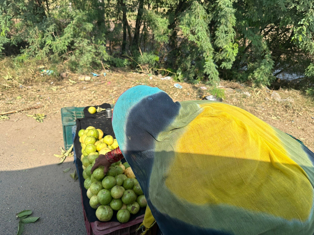 Royal Jaipur Tours-斋蒲尔必去景点