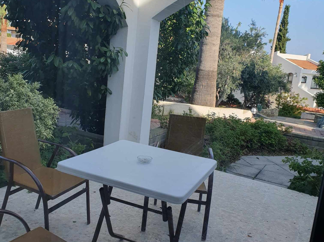 The Olive Tree Hotel主图