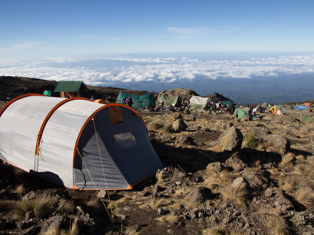 Shimboni Africa-莫西必去景点