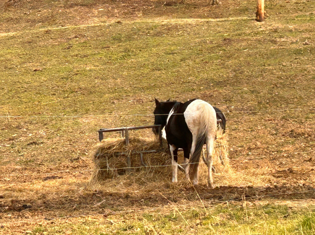 Fletcher Creek Covered Bridge-Clarksburg必去景点