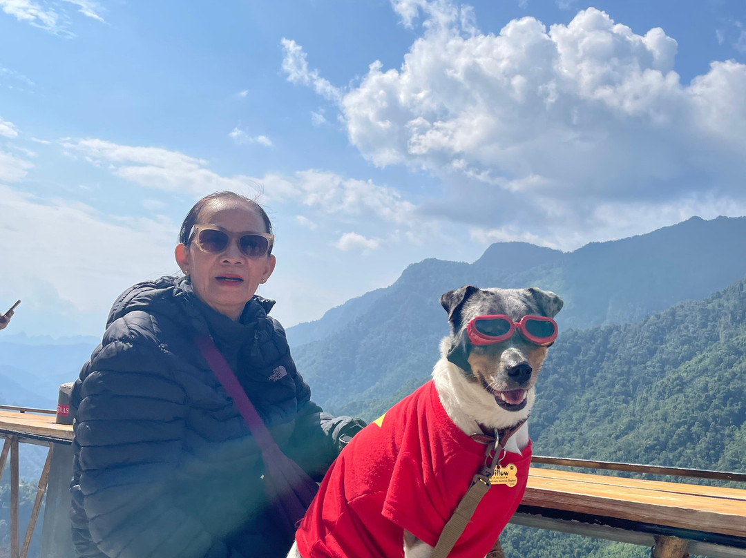 Dragon Team Tour-Dong Van必去景点