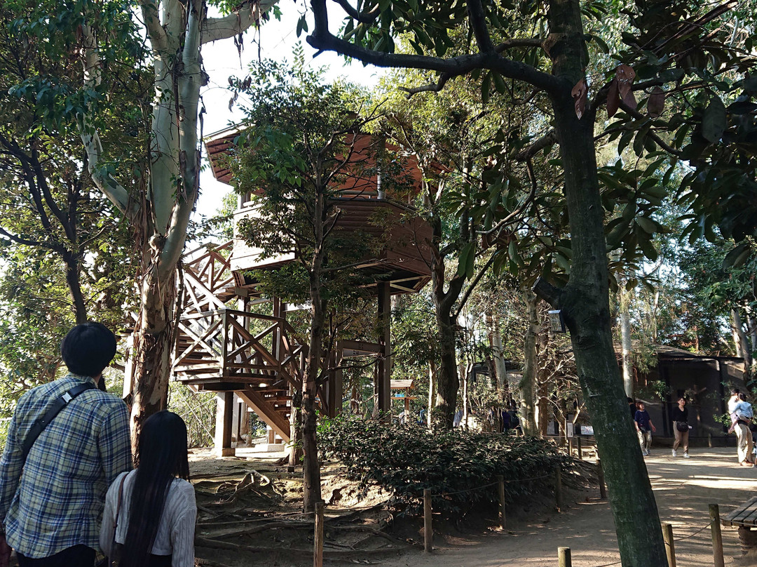 Campbelltown Forest of Wild Birds-越谷市必去景点