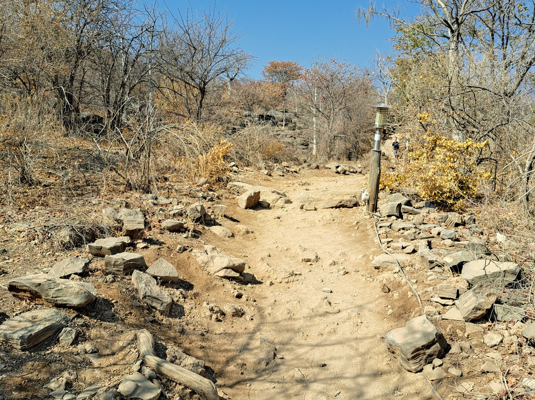 Moringa Waterhole-Halali必去景点