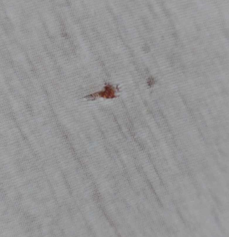 Hotel Zur Post主图