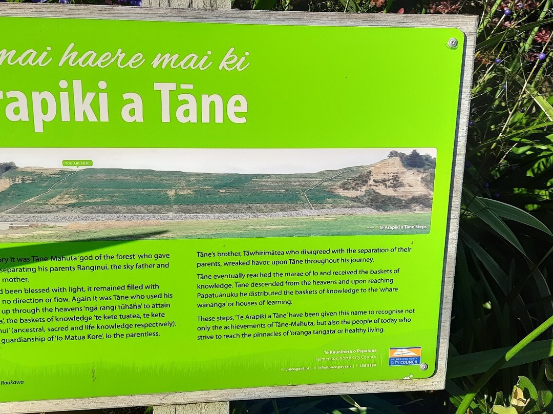 Te Arapiki a Tane-北帕墨斯顿必去景点