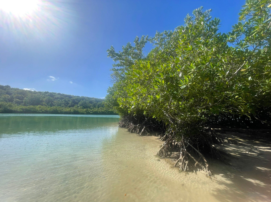 Simobey-Le Vauclin必去景点
