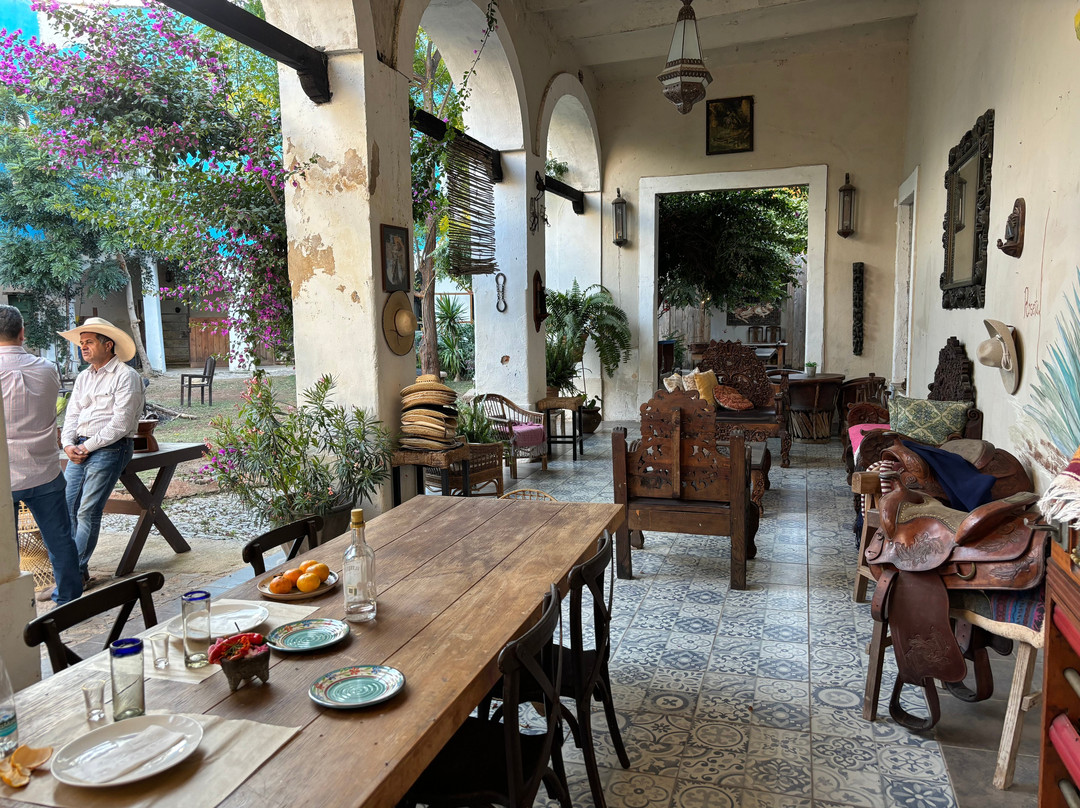 Hacienda El 20, Horse experiences Mexico-Amatitan必去景点