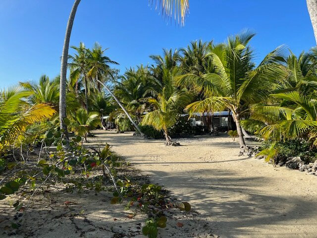 Small Hope Bay Lodge主图