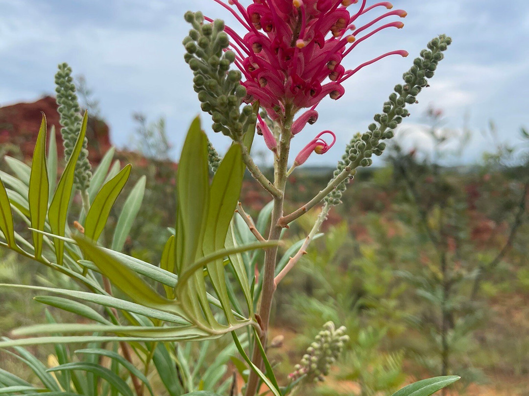 Red Desert-Port Edward必去景点