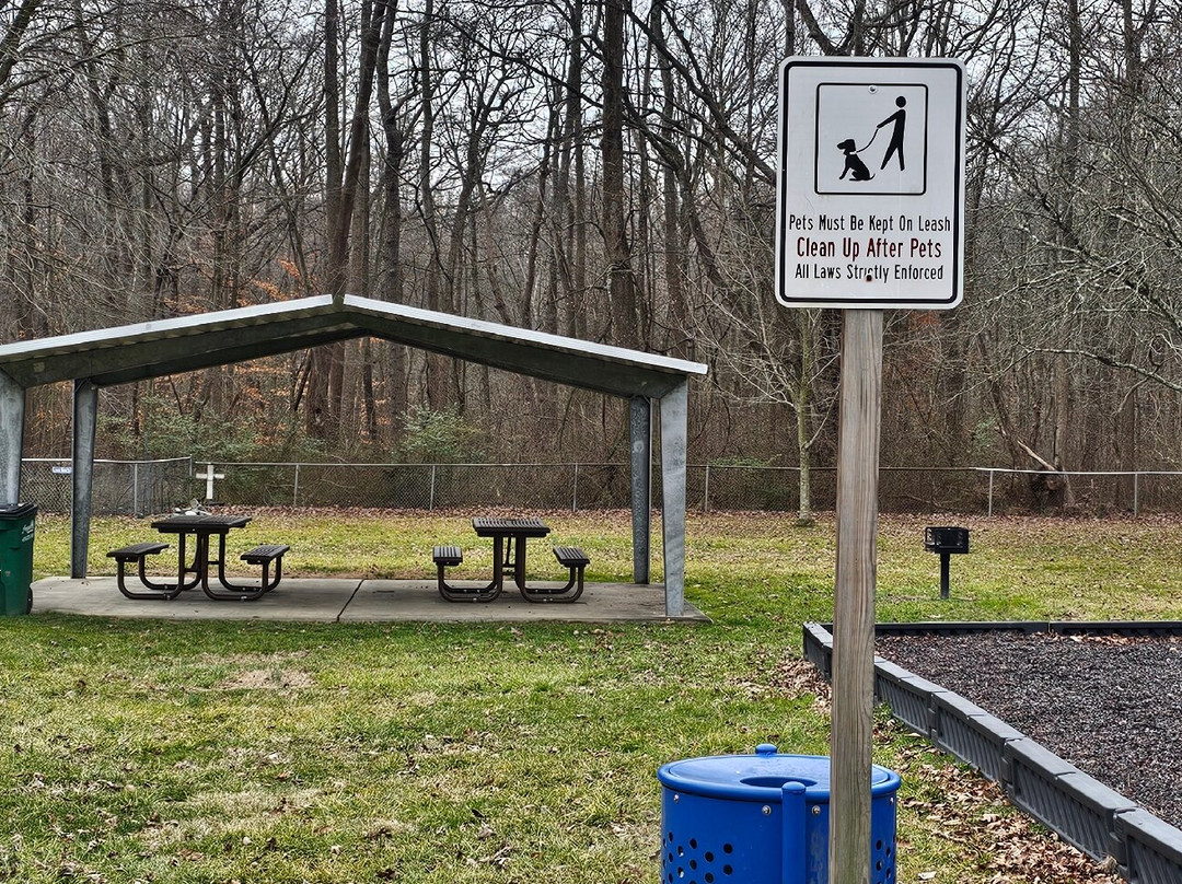 Plater Street Park-Aberdeen必去景点