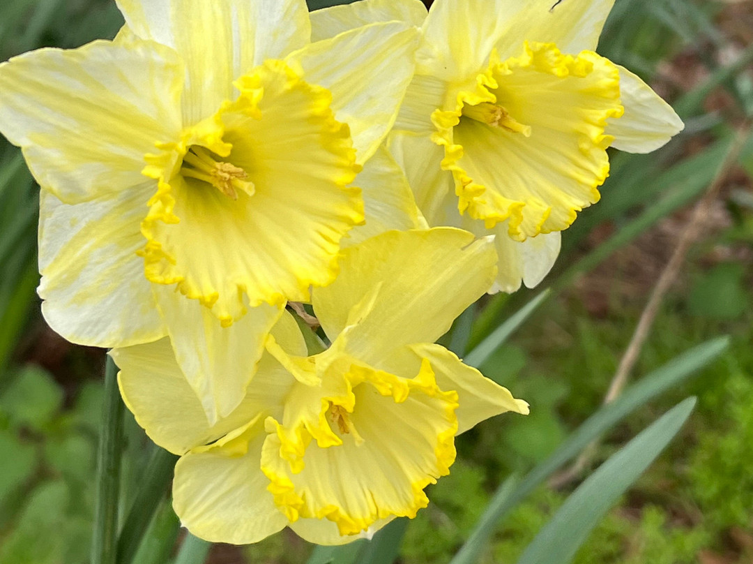 Chorleywood House Estate-Chorleywood必去景点