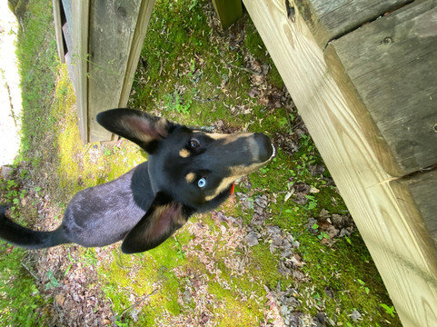 The Heart Center主图