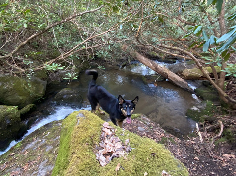 The Heart Center主图