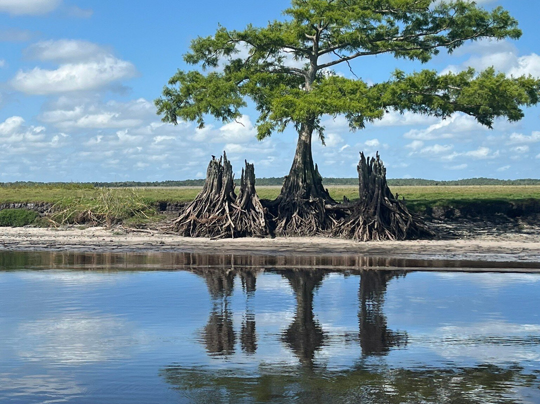 Midway Airboat Rides景点图片