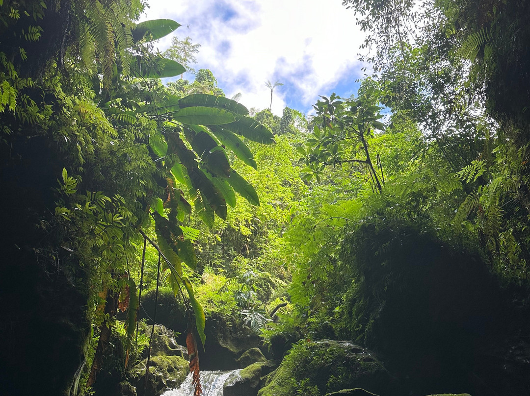 Millennium Cave-卢甘维尔必去景点