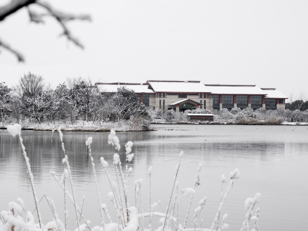 昆山花桥中城假日酒店主图