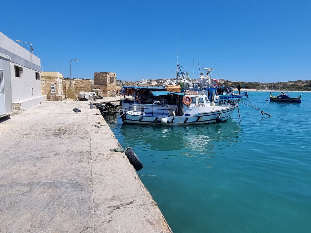 Marsaxlokk Port-Marsaxlokk必去景点