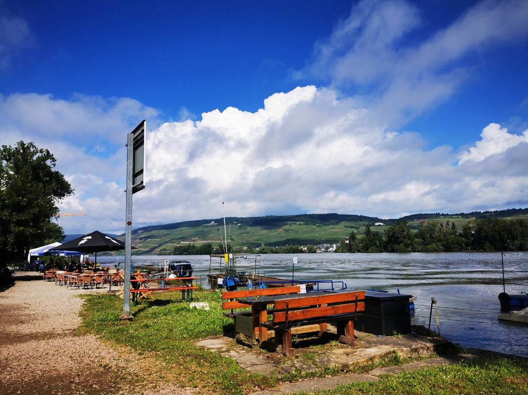 Campingplatz Hindenburgbrücke