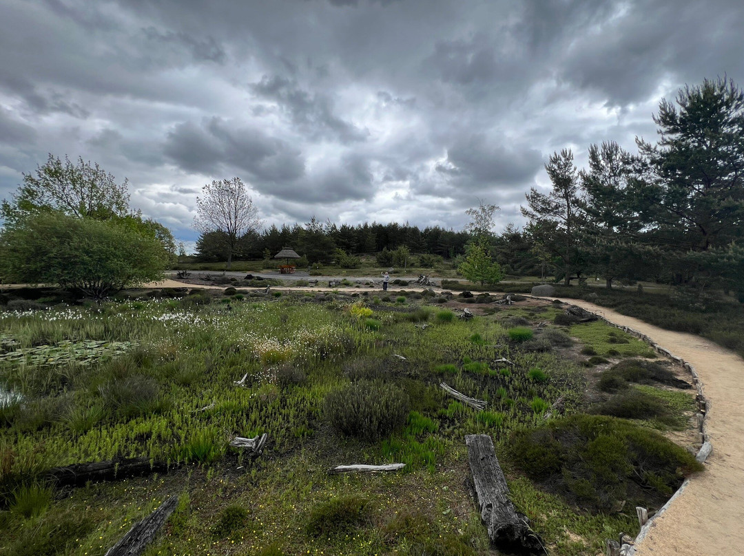 Lausitzer Findlingspark Nochten景点图片