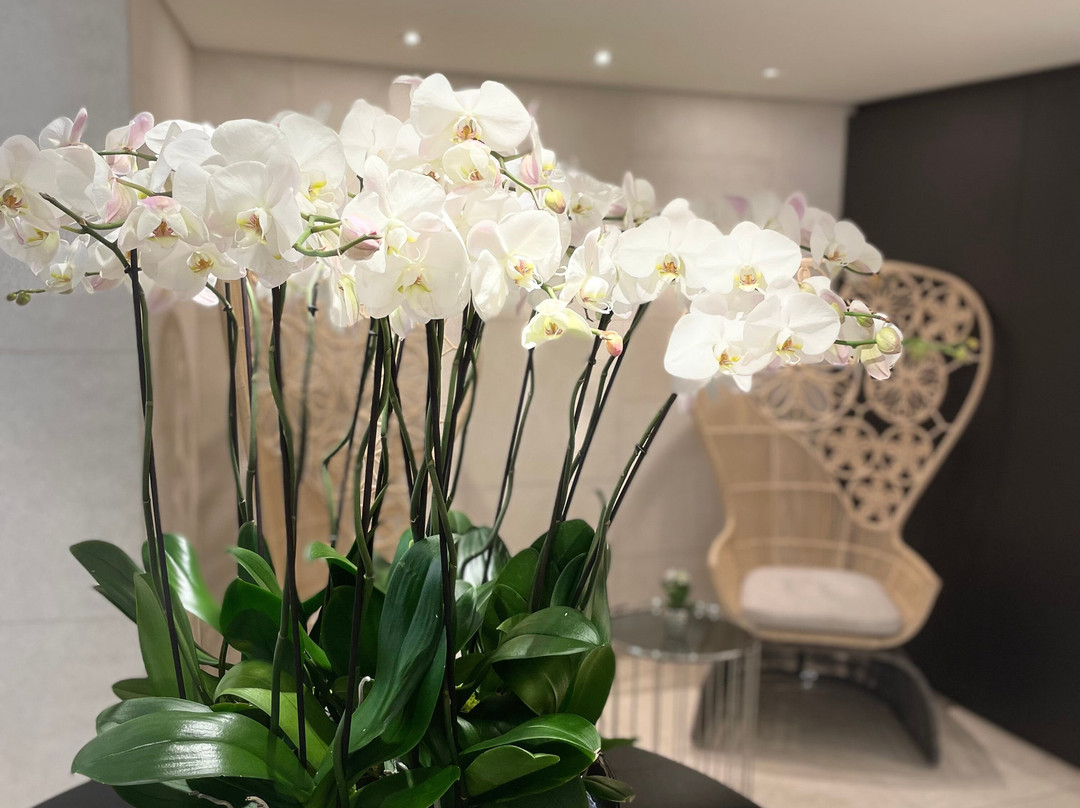 Qatar Airways Premium Lounge景点图片