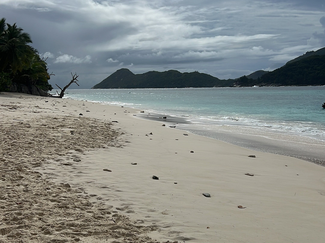 Fidelle Boat Charters-Anse Boileau必去景点