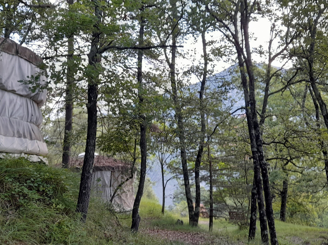 Vedicare Ayurvedic Spa景点图片