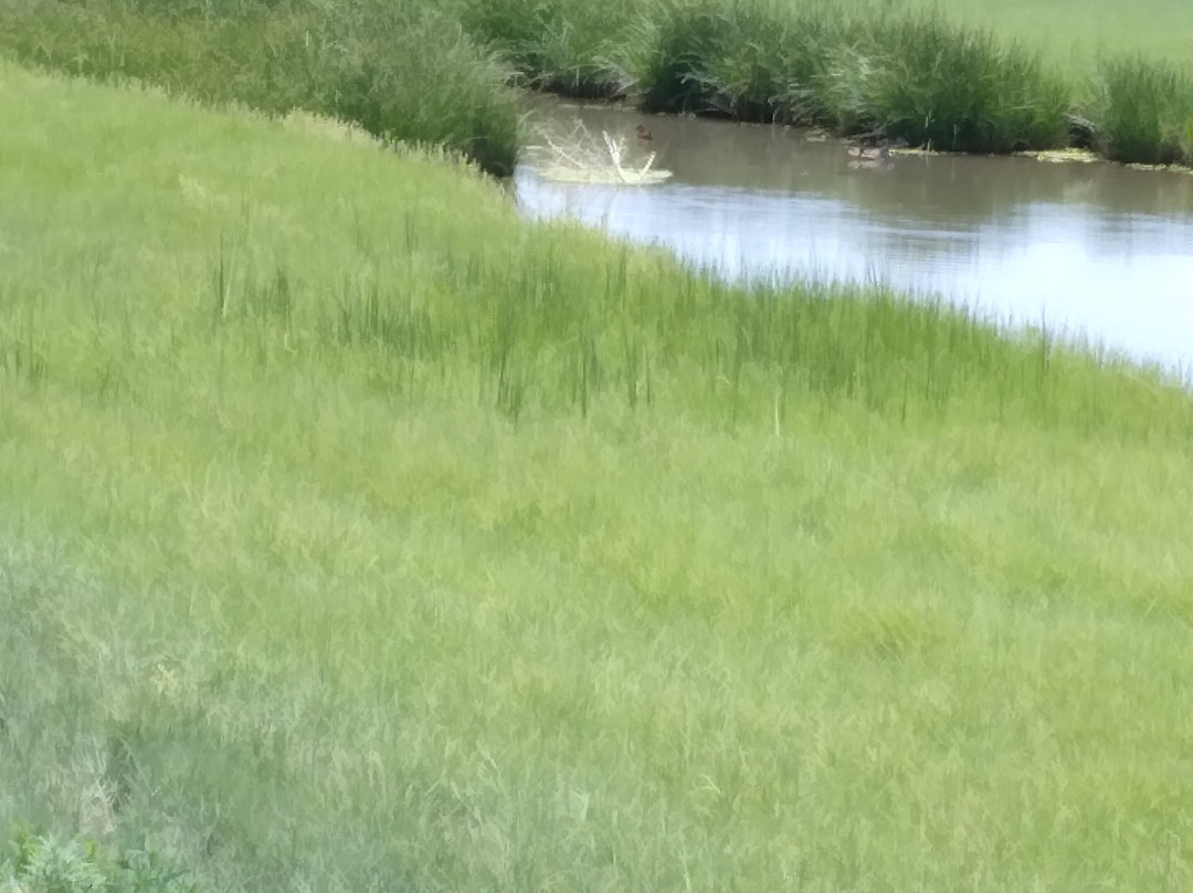 Best Western El Rancho Palacio主图