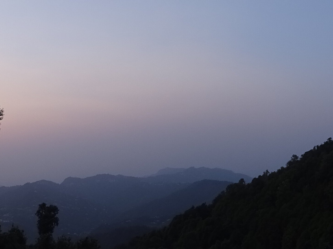 Te Aroha By Shervani主图