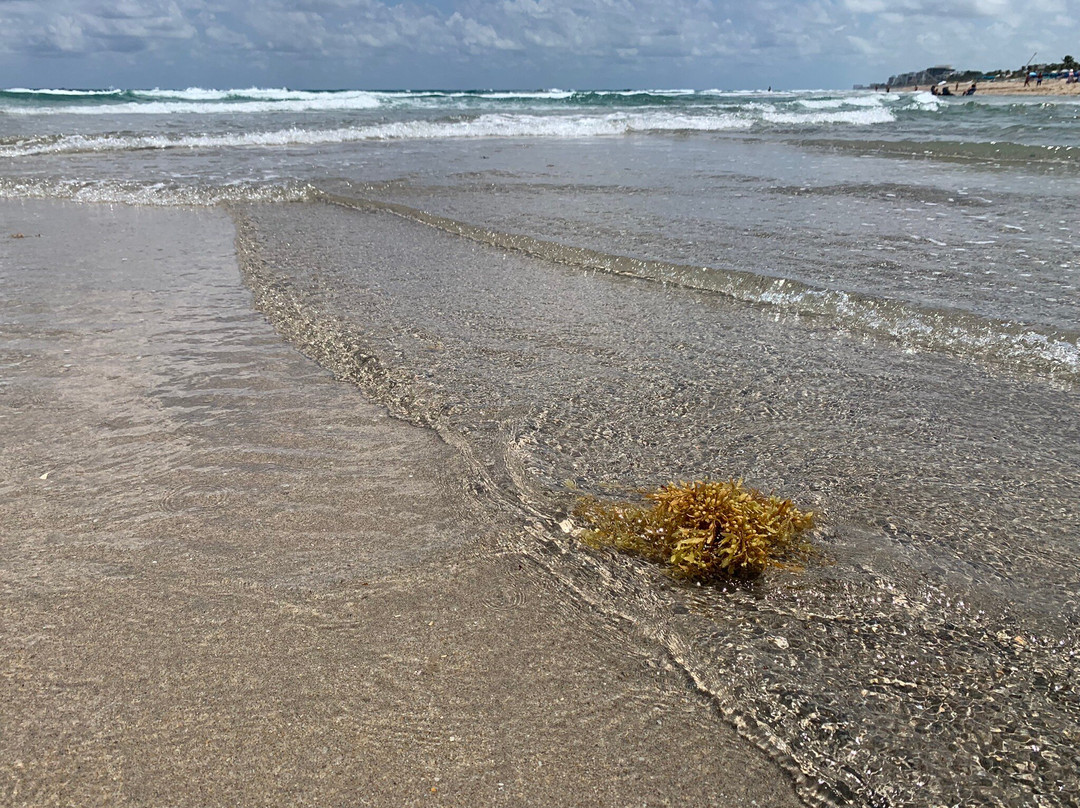 Delray Municipal Beach-德拉海滩必去景点
