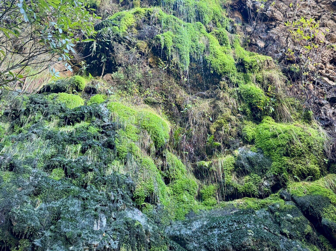 Cape Trekking-桌山国家公园必去景点