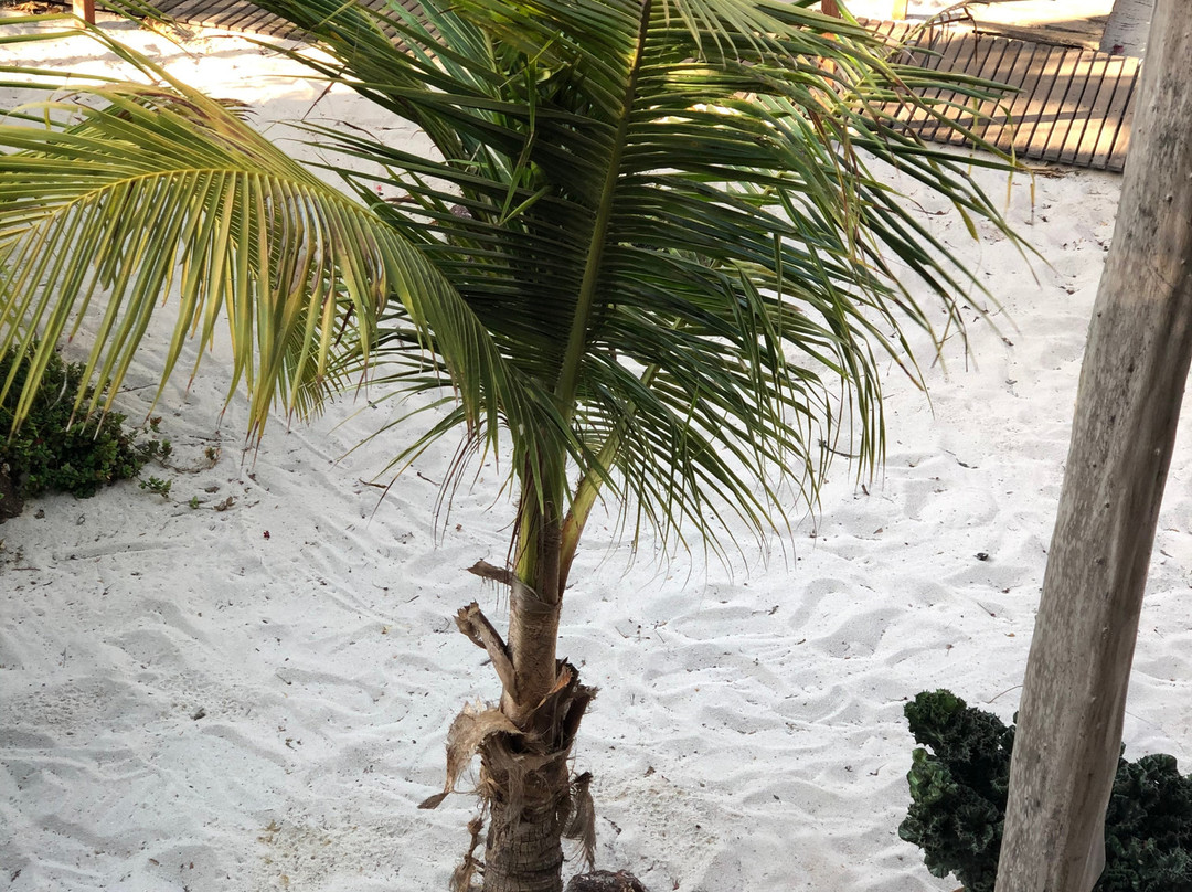 Pousada Aldeia Namoa主图